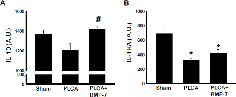 Fig. 8: