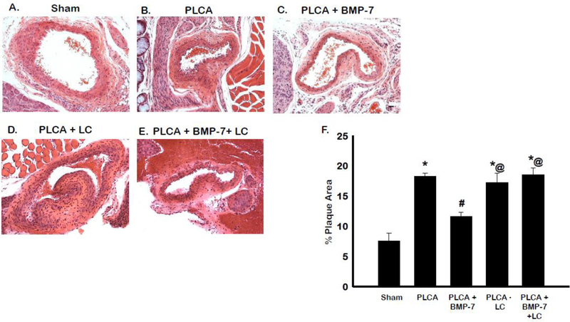 Fig. 2: