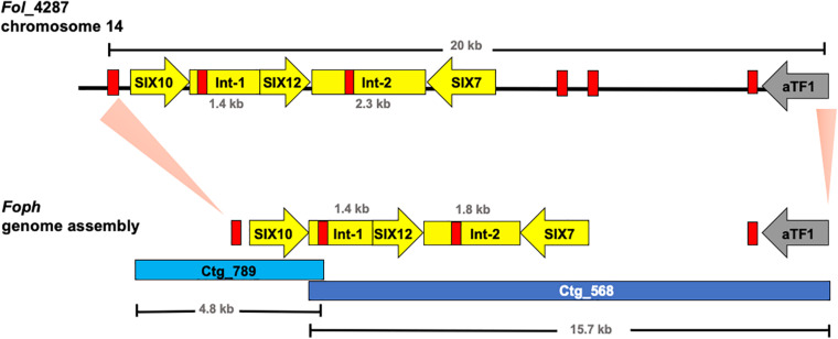 FIGURE 3