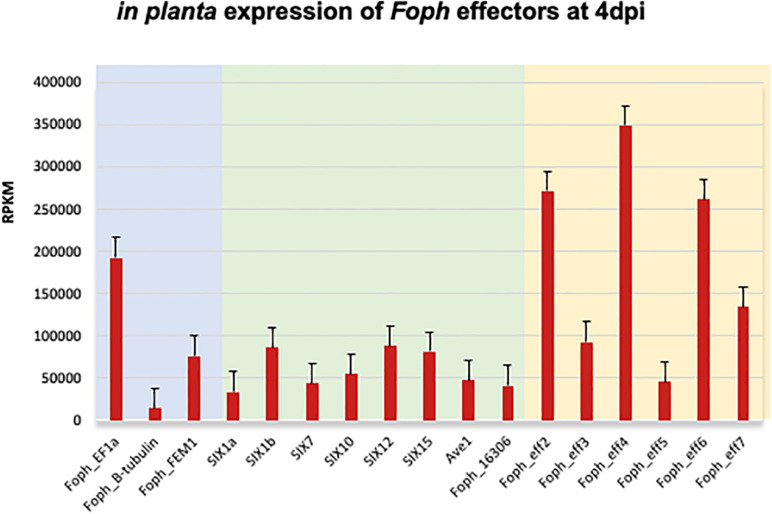 FIGURE 4