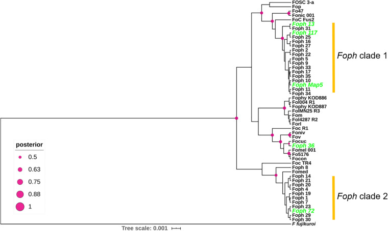 FIGURE 5