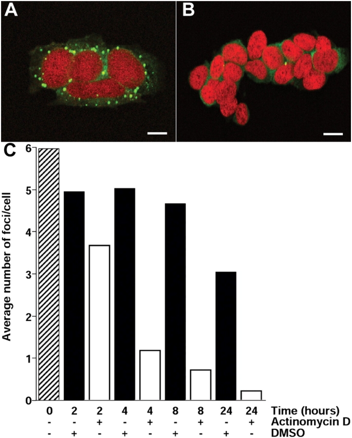 Figure 6.