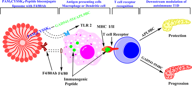 graphic file with name nihms-1044430-f0008.jpg