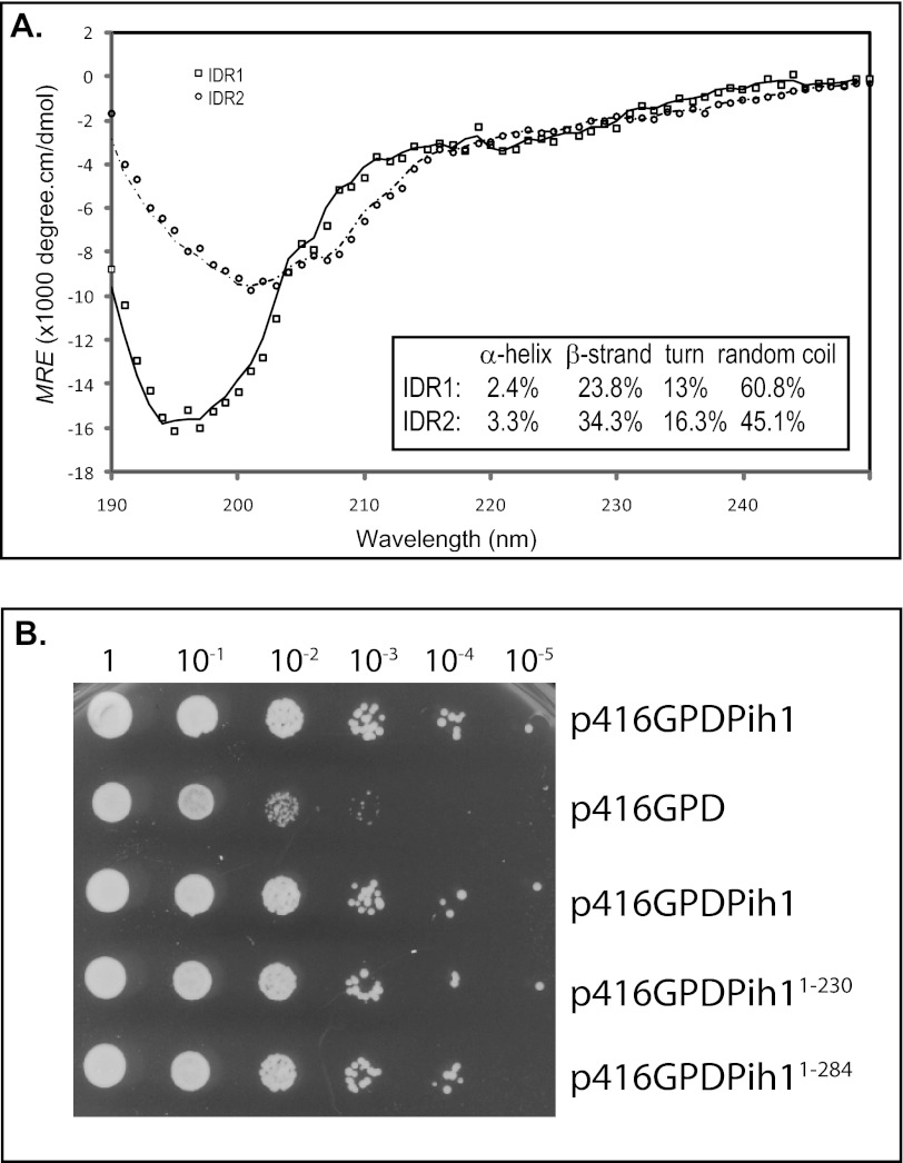 FIGURE 2.