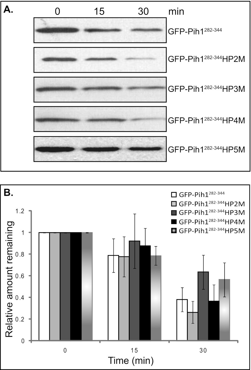 FIGURE 5.