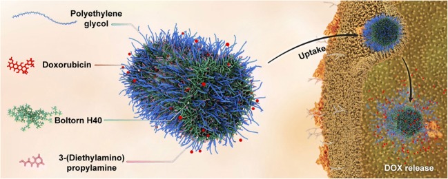 Graphical abstract