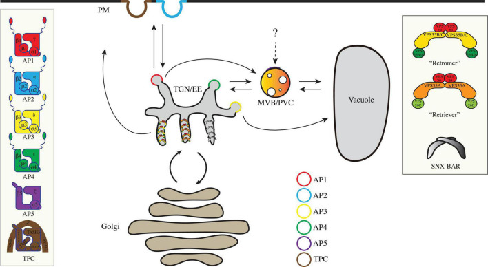 FIGURE 1