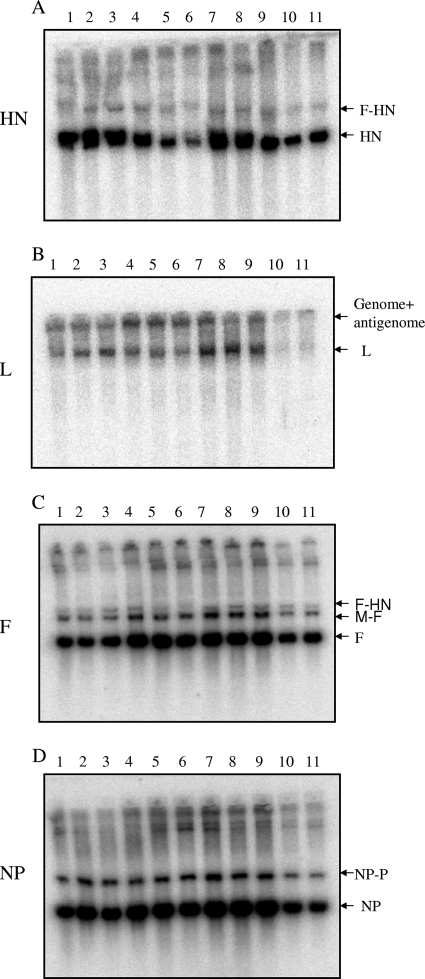 FIG. 5.