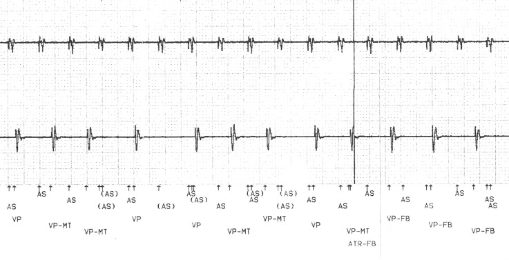 Figure 2