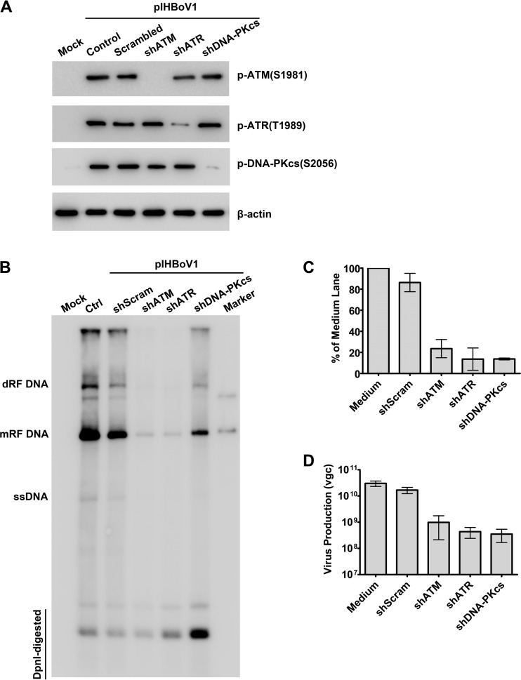 FIG 9