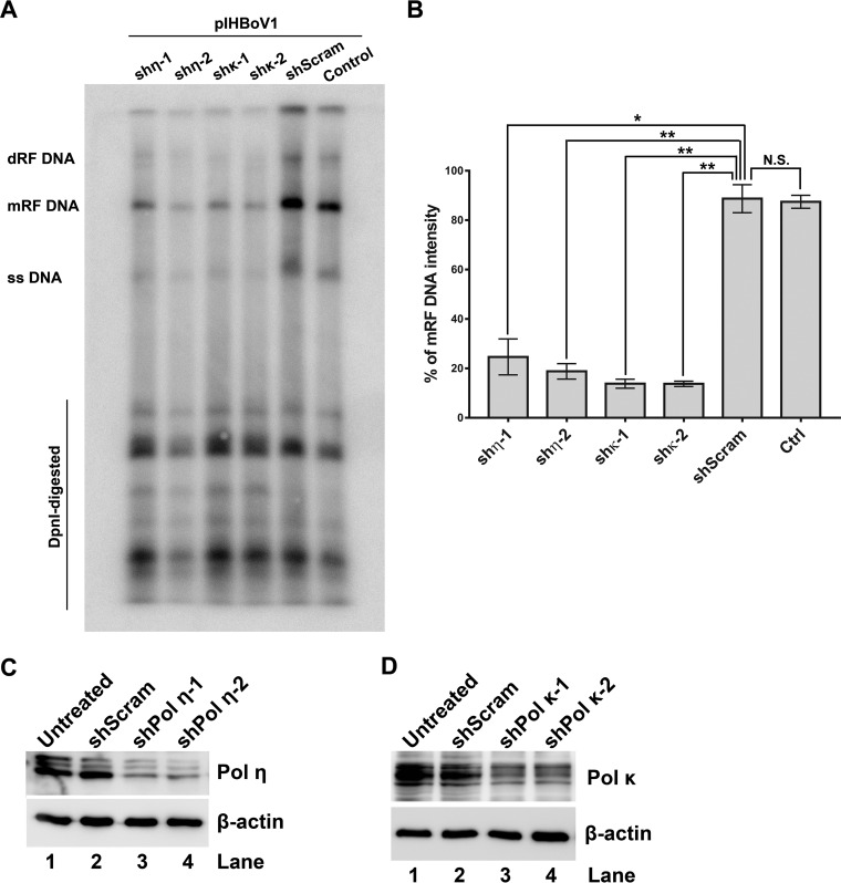 FIG 12