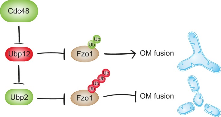 Figure 9.