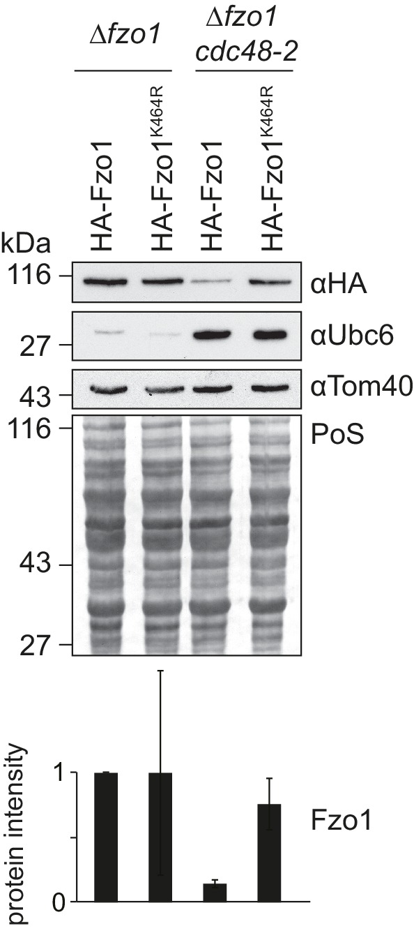 Figure 2—figure supplement 1.