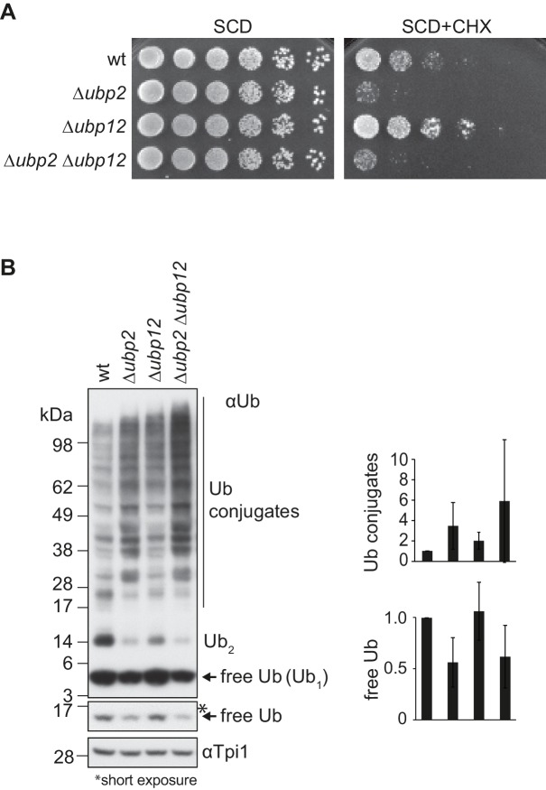 Figure 5—figure supplement 1.