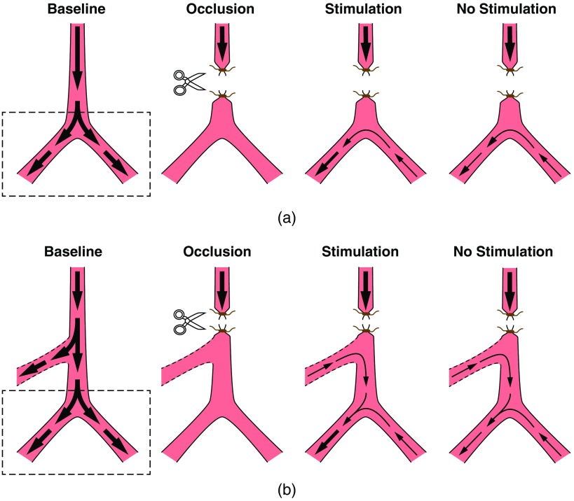 Fig. 10