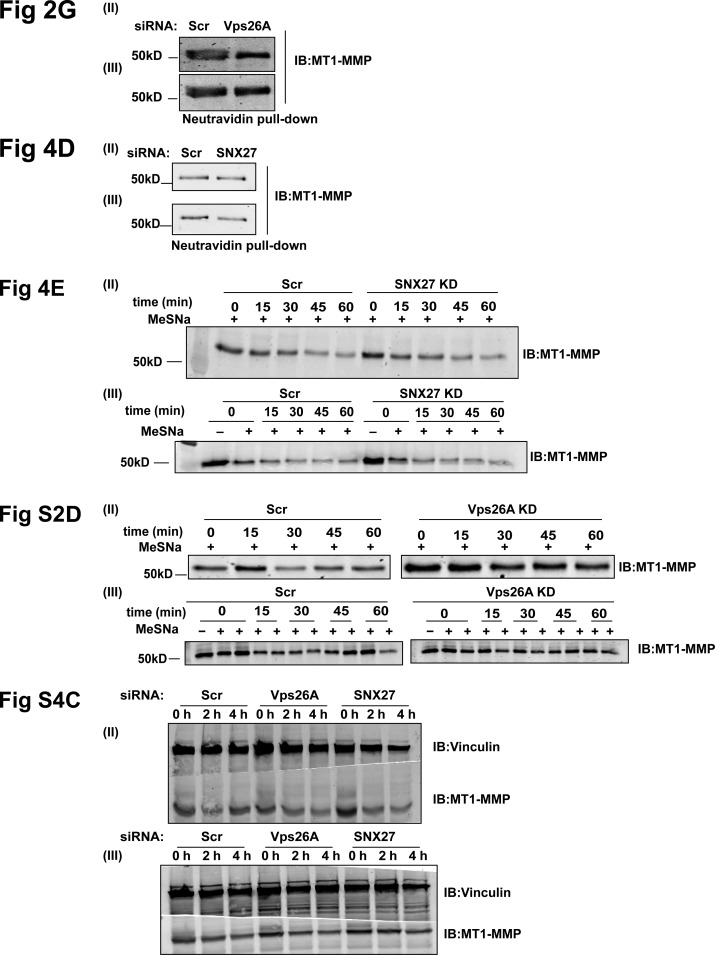 Figure S5.