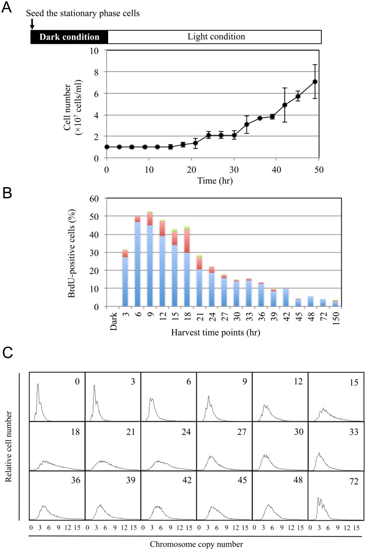 Fig 2