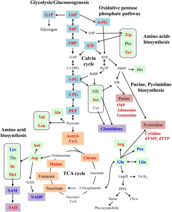 Fig 5