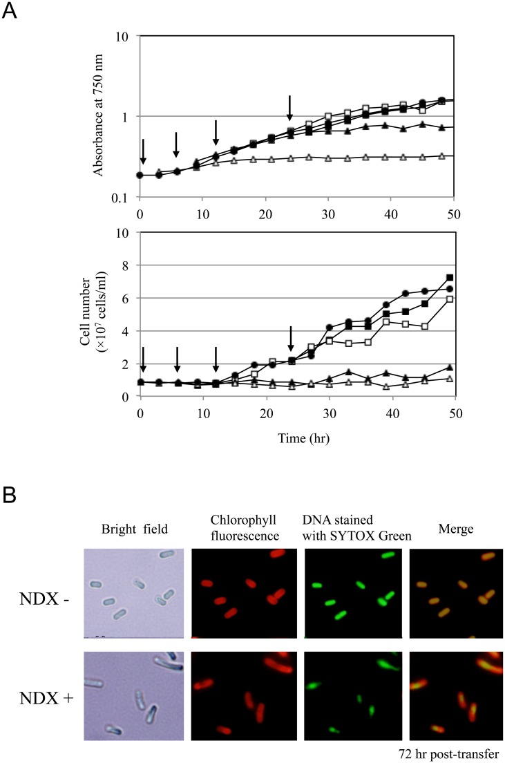 Fig 3