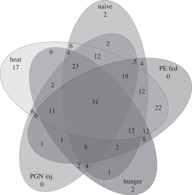 Figure 2.