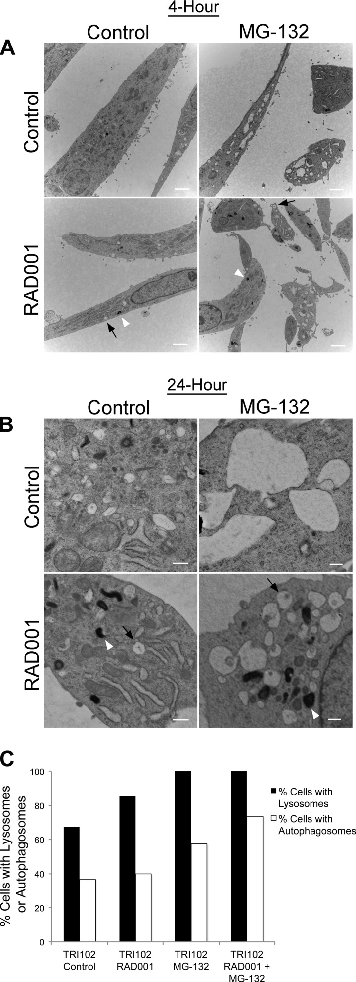 Fig. 9.