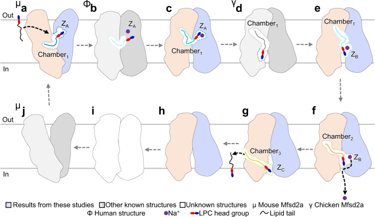 Fig. 4