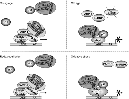 FIGURE 10.