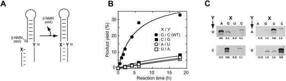 FIGURE 6.