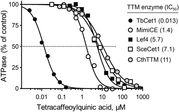 FIG 5 