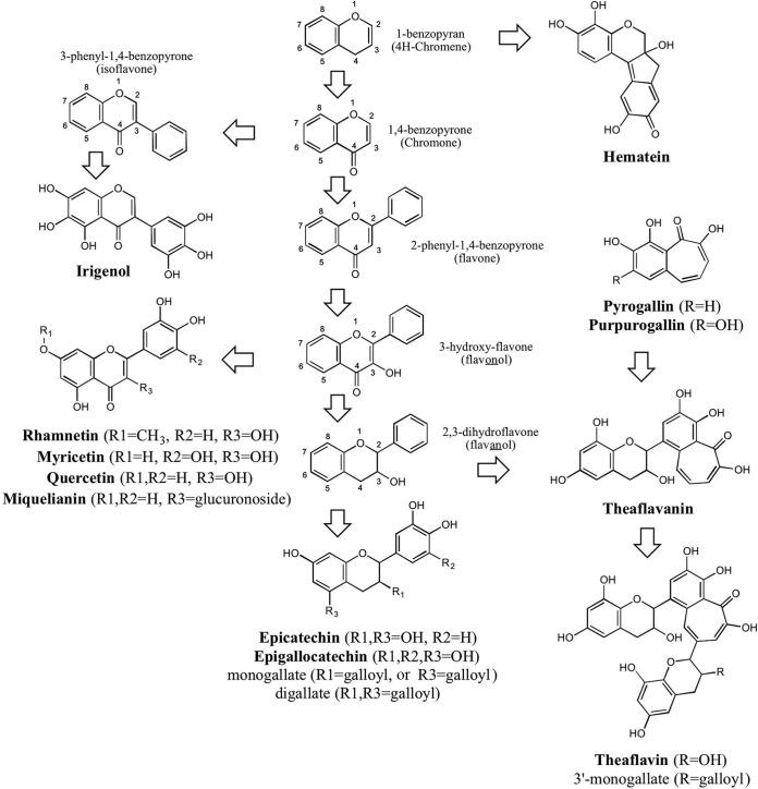 FIG 2 