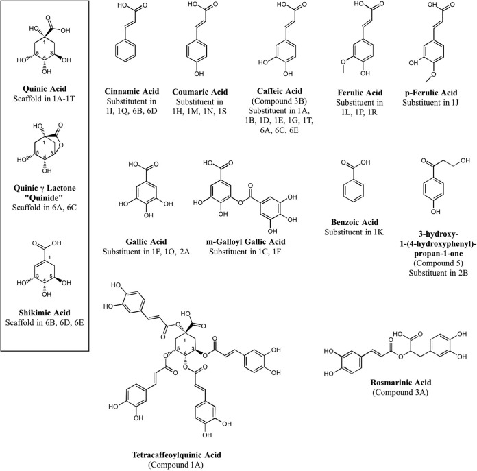 FIG 3 