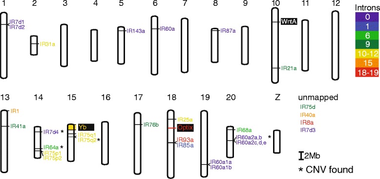 Fig. 2