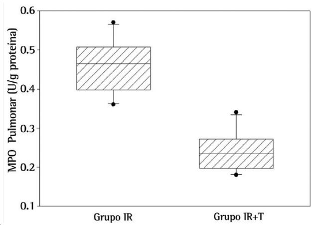 Figura 2