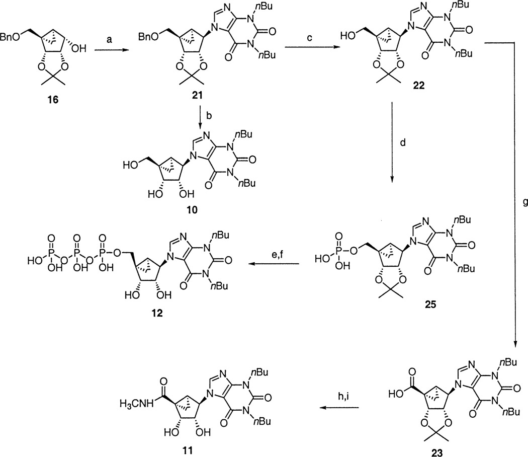 Scheme 3