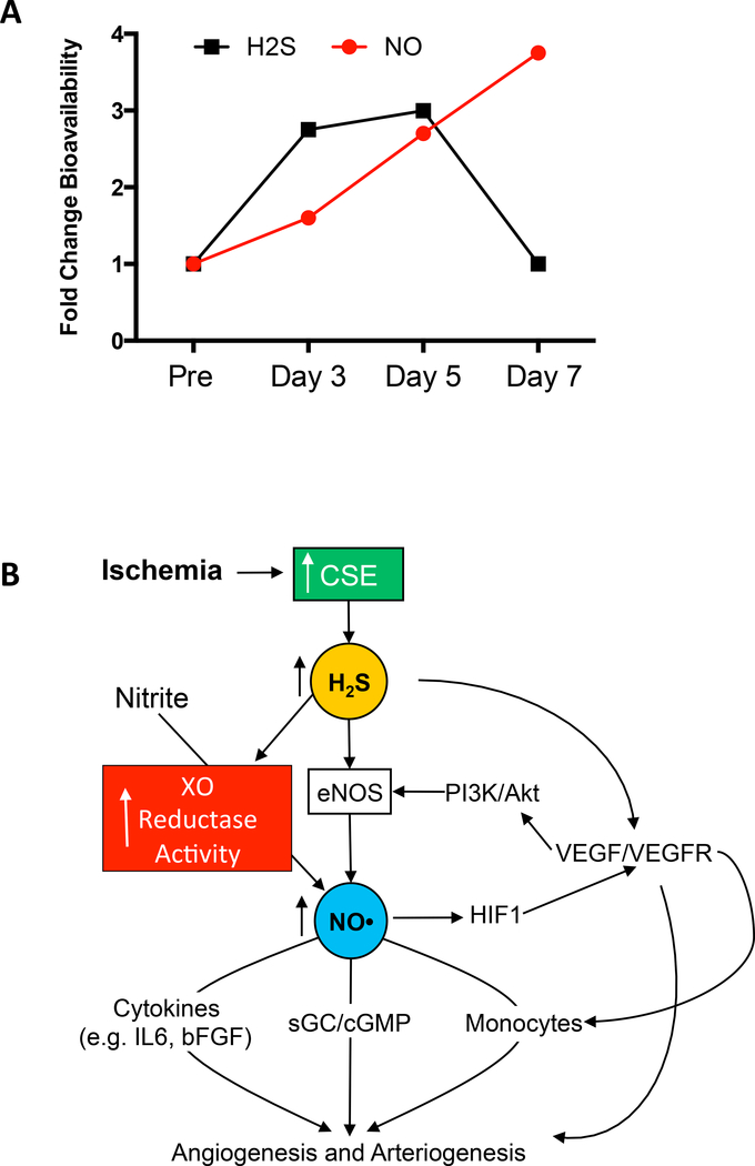 Figure 4-