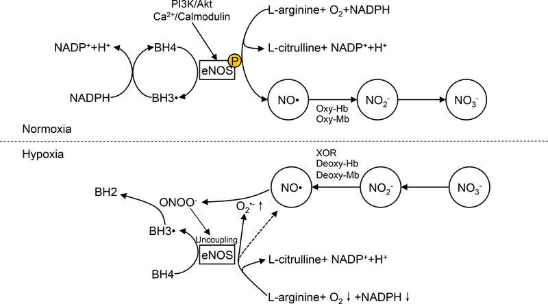 Figure 2-