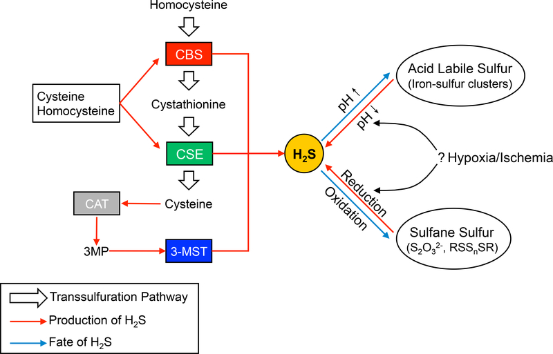 Figure 3-