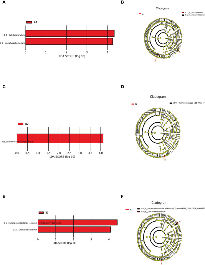 Figure 4