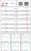 Extended Data Fig. 1