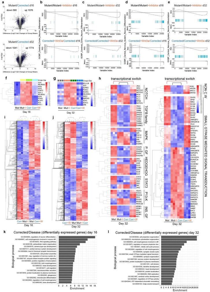 Extended Data Fig. 7