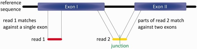 Figure 4: