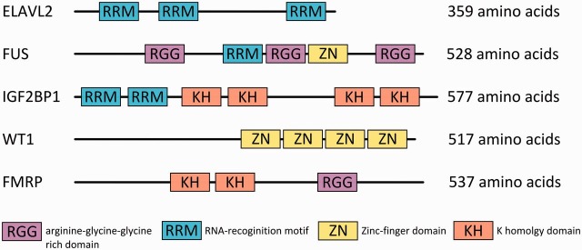 Figure 1: