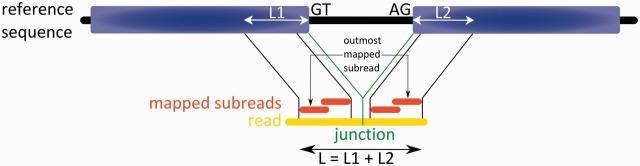 Figure 5: