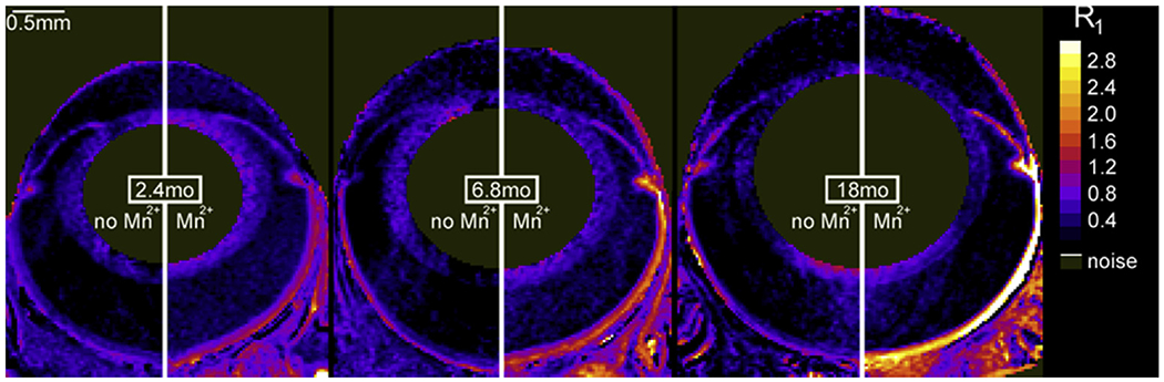 Fig. 10.