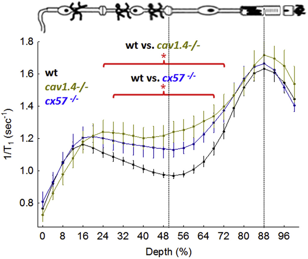 Fig. 8.