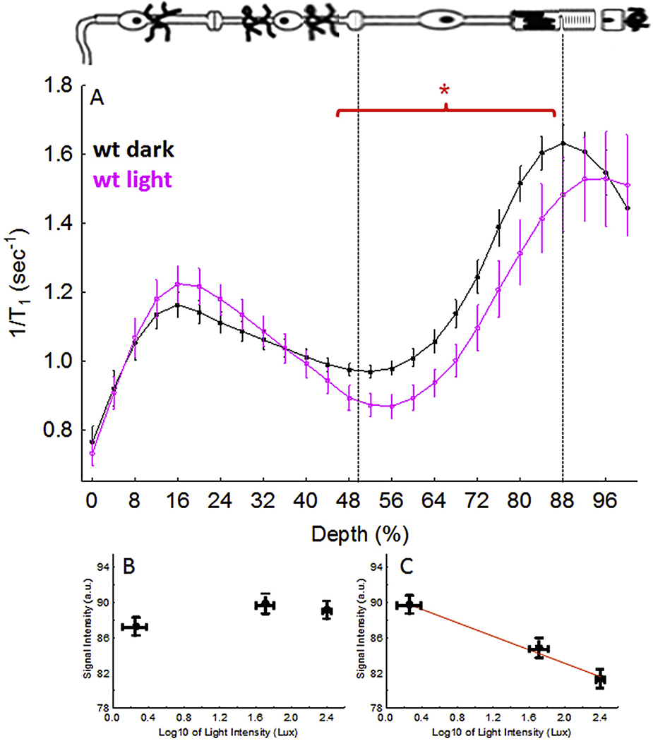 Fig. 6.