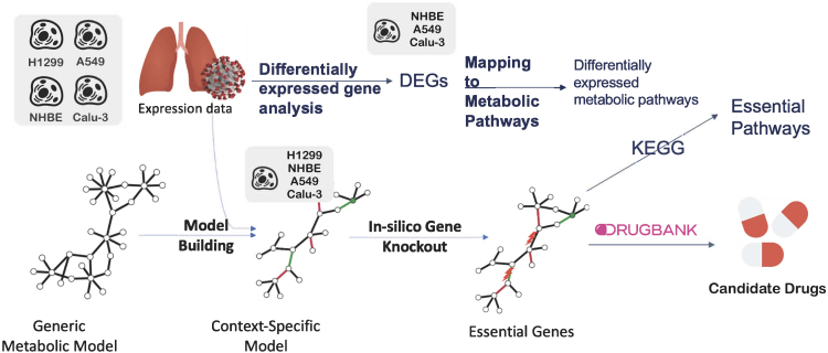 Figure 1