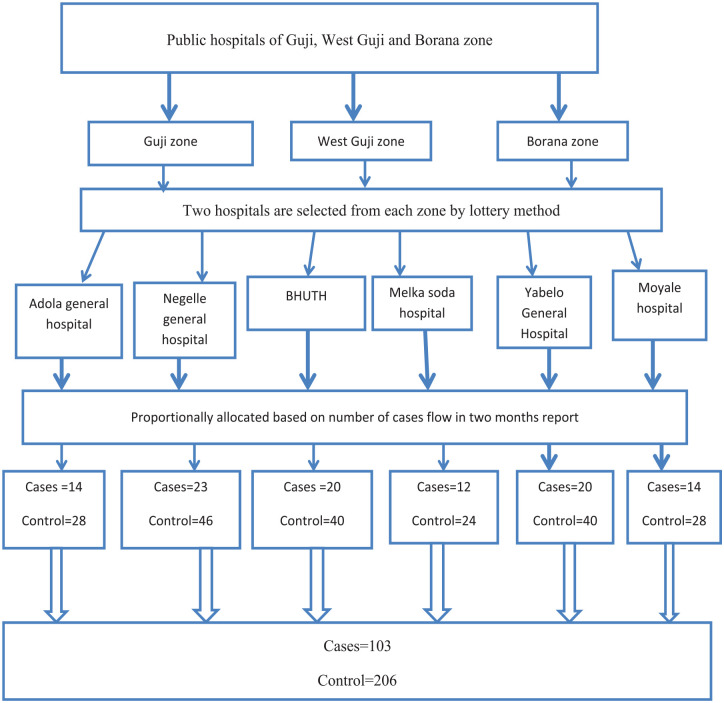 Figure 2.