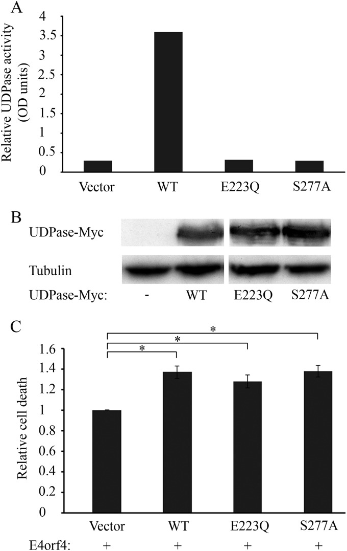 FIG 2