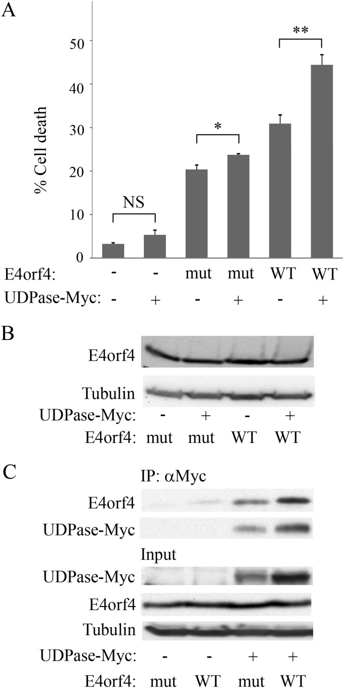 FIG 4